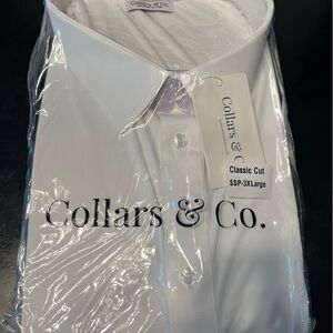 Collars & Co Relaxed Fit Polo